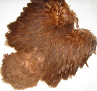 Brahma hen soft hackle  w/chickabou brown  Whiting